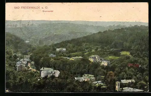 AK Bad Freienwalde a. O., Brunnental aus der Vogelschau