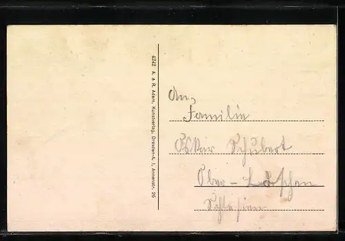 AK Bad Berggiesshübel i. Sa., Ortsansicht aus der Vogelschau