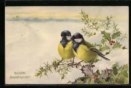 Künstler-AK M. Munk Nr. 474: Vögel sitzen auf einem winterlichen Ast, Herzliche Neujahrsgrüsse!