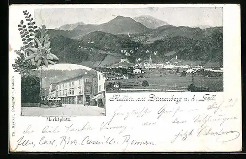 AK Hallein, Gesamtansicht und Marktplatz