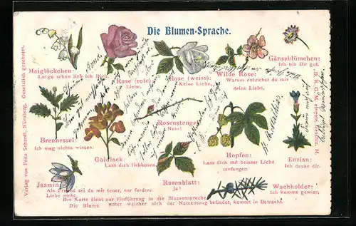 AK Blumensprache, Rote Rose: Liebe, Rosenstengel: Nein!, Gänseblümchen: Ich bin Dir gut