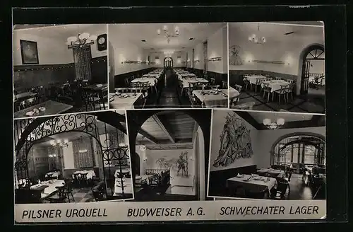 AK Wien, Gasthaus Zum Schillerpark J. Smutny, Elisabethstrasse 8, Innenansichten