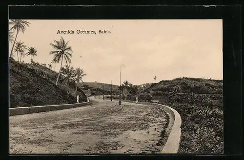 AK Bahia, Avenida Oceanica