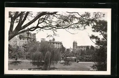 AK Sao Paulo, Panorama
