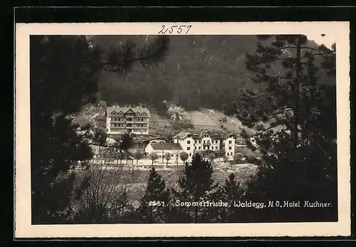 AK Waldegg, Ortsansicht mit Hotel Kuchner