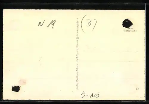 AK Waldegg, Ortsansicht mit Hotel Kuchner