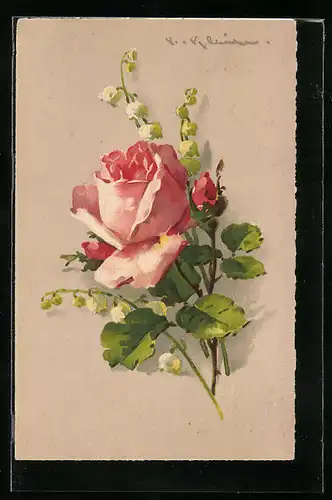 Künstler-AK Catharina Klein: Rosa Rosenblüte