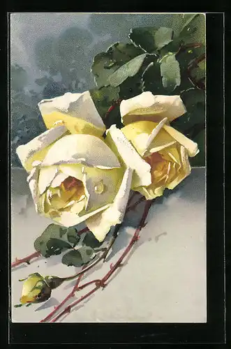 Künstler-AK Catharina Klein: Prachtvolle gelbe Rosen