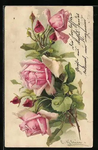 Künstler-AK Catharina Klein: Rosa Rosenblüten