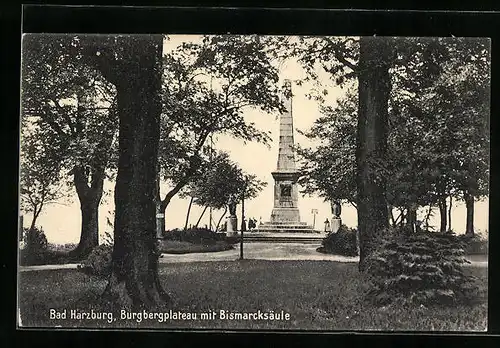 AK Bad Harzburg, Burgbergplateau mit Bismarcksäule