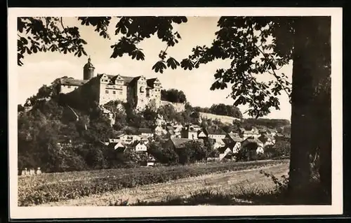 AK Ranis / Thür., Ortsansicht mit Blick zur Burg