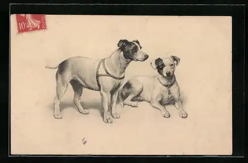 Künstler-AK M. Munk Nr. 98: Hunde mit treuem Blick