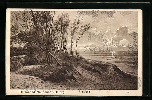 AK Neuhäuser /Ostpr., Blick durch Bäume auf den Strand