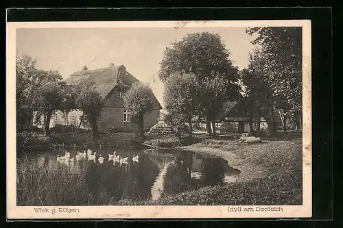 AK Wiek a. Rügen, Idyll am Dorfteich