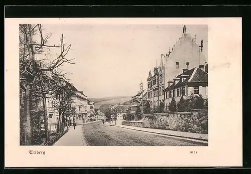 AK Triberg, Strassenpartie mit Gebäudeansicht