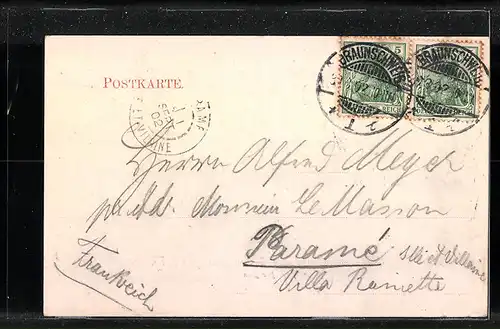 AK Braunschweig, Der Dom, Blumen, Passepartout