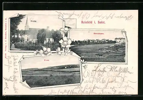 AK Reinfeld i.Holst., Kirche, Forst, Herrnhausen