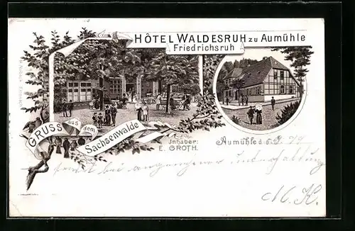 Lithographie Friedrichsruh, Hotel Waldesruh zu Aumühle