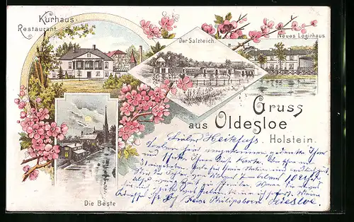 Lithographie Oldesloe, Kurhaus-Restaurant, Der Salzteich, Neues Logirhaus