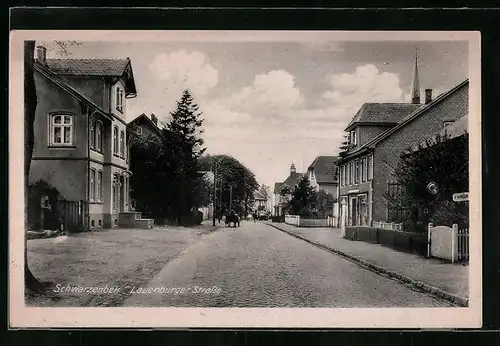 AK Schwarzenbek, Passanten in der Lauenburger Strasse