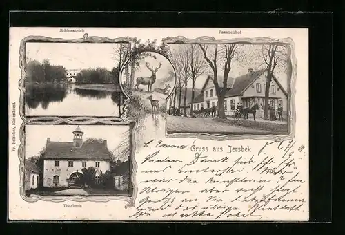 AK Jersbek, Schlossteich, Gasthaus Fasanenhof und Thorhaus