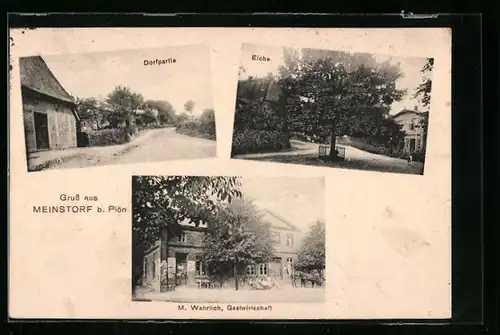 AK Meinstorf b. Plön, Dorfpartie, Eiche, Gasthaus M. Wahrlich
