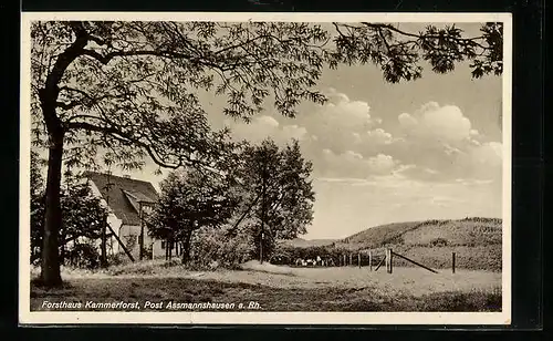 AK Kammerforst, das Forsthaus durch Bäume