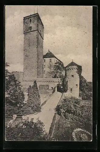 AK Guttenberg a. N., Schloss Guttenberg mit Garten