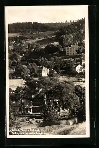 AK Erlbach /Vogtl., Blick auf Gebirgssommerfrische Eubabrunn
