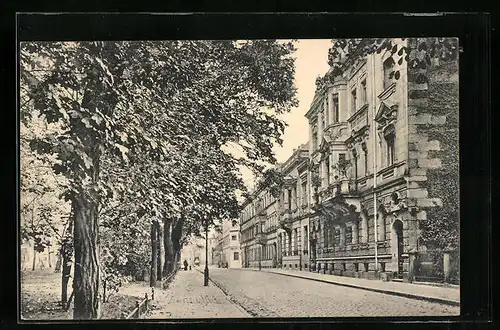 AK Fürth, Most-Strasse mit Bäumen