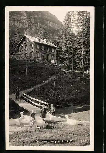 AK Seealpsee, Gasthaus mit Kindern und Ziegen