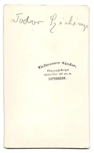 Fotografie Tiefbrunner Sandor, Sopronban, Portrait Graf Todor Szechenyi im Anzug mit Backenbart