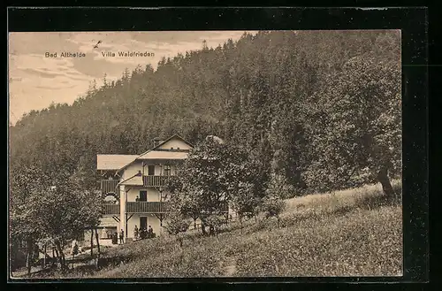 AK Bad Altheide, Villa Waldfrieden mit Hügeln