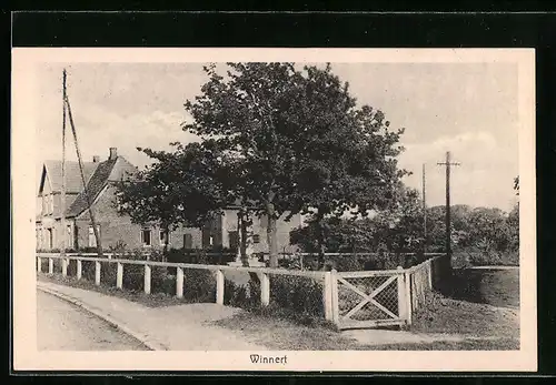 AK Winnert, Ortspartie mit Häusern und Baum