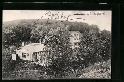 AK Haderslev, Gasthaus Schützenhof Böghoved