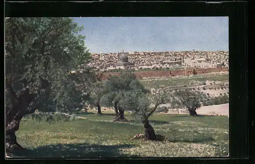AK Jerusalem, Blick vom Oelberg auf die Stadt