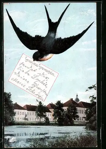 AK Gravenstein, Schwalbe bringt Grüsse aus der Stadt, Schlossansicht