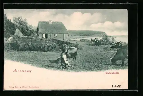 AK Sonderburg, Fischerhütte mit weidenden Rindern