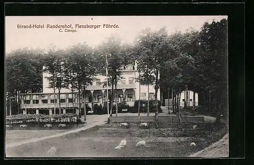 AK Randershof, Flensburger Föhrde, Strand-Hotel Randershof