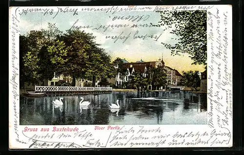 AK Buxtehude, Viver Partie mit Schwänen