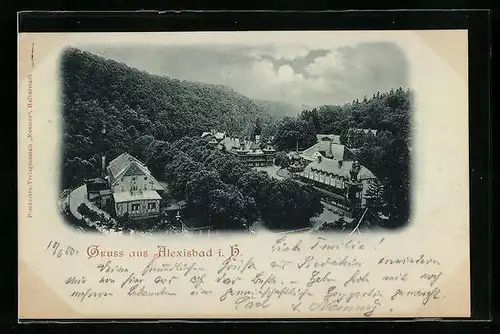 Mondschein-AK Alexisbad i. H., der Ort aus der Vogelschau