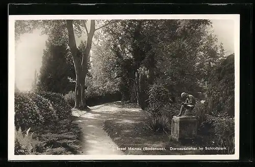 AK Insel Mainau, Dornauszieher im Schlosspark
