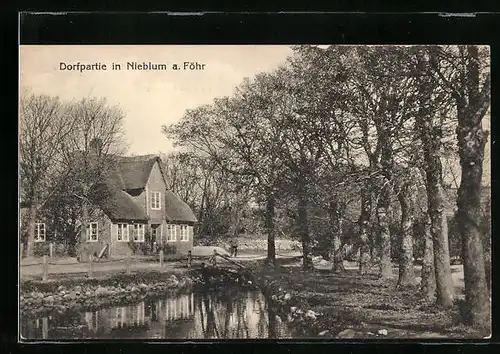 AK Nieblum a. Föhr, Dorfpartie im Sonnenschein