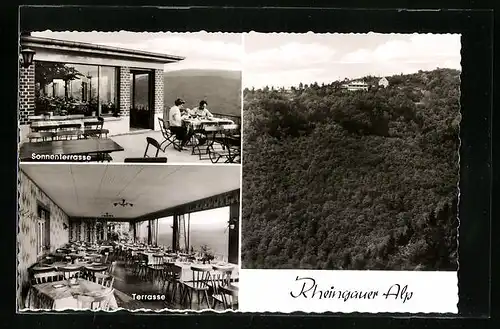 AK Lorch /Rhein, Gaststätte Rheingauer-Alp