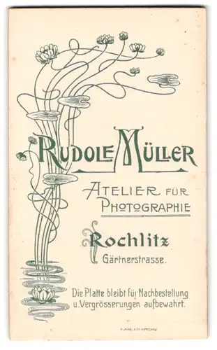 Fotografie Rudolf Müller, Rochlitz, Gärtnerstr., aus dem Wasser wachsende Seerosen umschlingen Anschrift des Fotografen