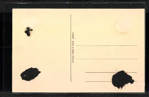 AK Hainichen i. Sa., Wilhelmstrasse mit Zigarrengeschäft