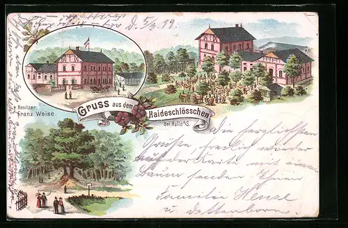 Lithographie Halle a. S., Gasthaus Haideschlösschen, Garten, Waldpartie