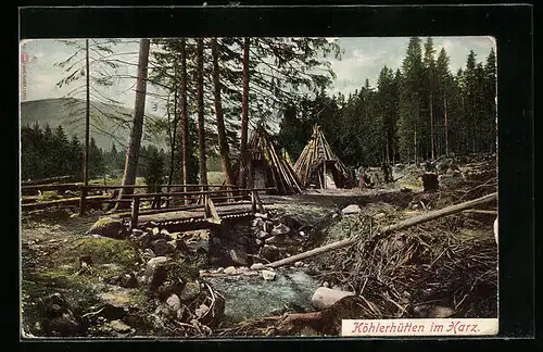 AK Köhlerhütten im Harz, Forstwirtschaft