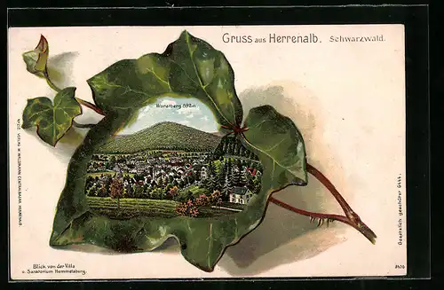 Passepartout-Lithographie Herrenalb /Schwarzwald, der Ort mit Wurzelberg im Hintergrund