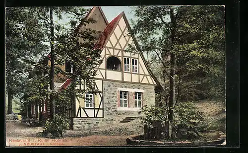 AK Neustadt b. Ilfeld, Hotel u. Restaurant Ruine Hohnstein